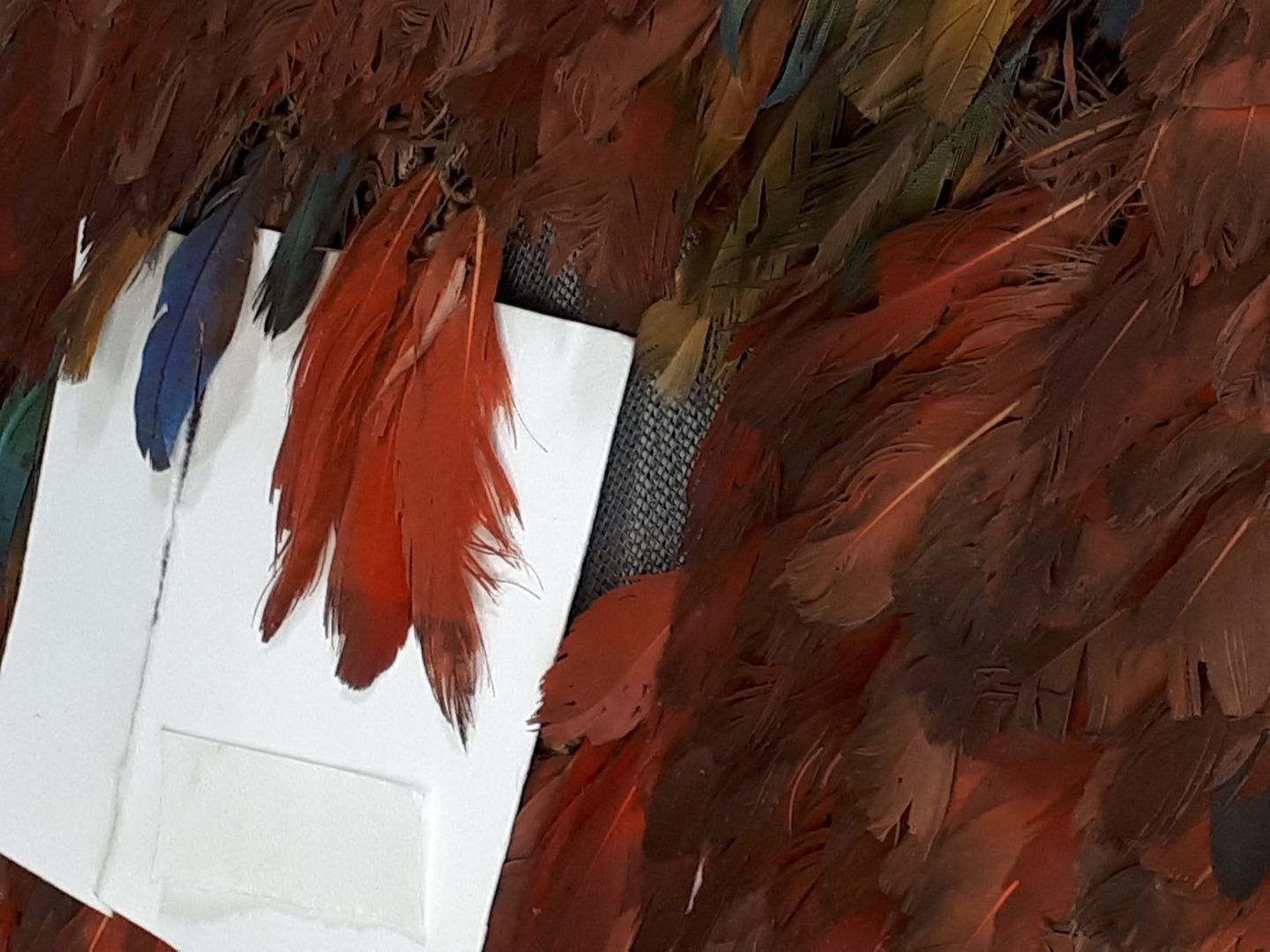 20180216_113747 Conservazione laser: Tessuti - Laser Preservation: Textiles