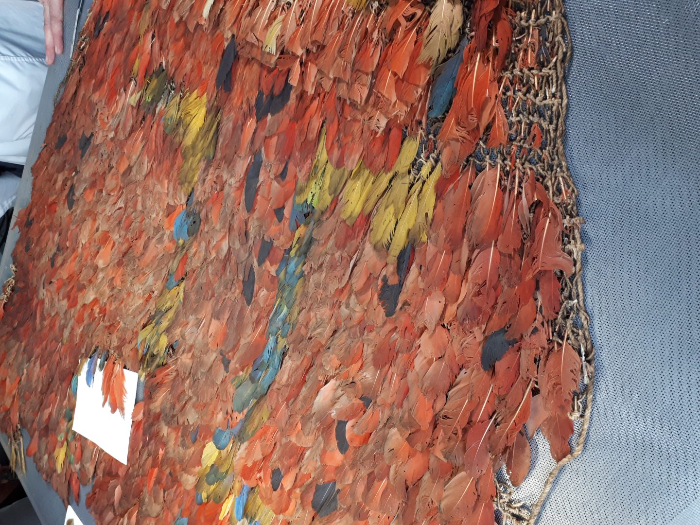 Laser Preservation of a Garment